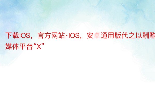 下载IOS，官方网站·IOS，安卓通用版代之以酬酢媒体平台“X”