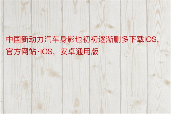 中国新动力汽车身影也初初逐渐删多下载IOS，官方网站·IOS，安卓通用版